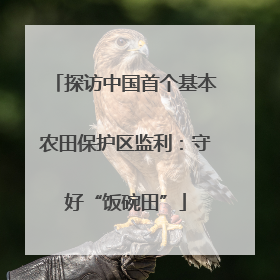 探访中国首个基本农田保护区监利：守好“饭碗田”