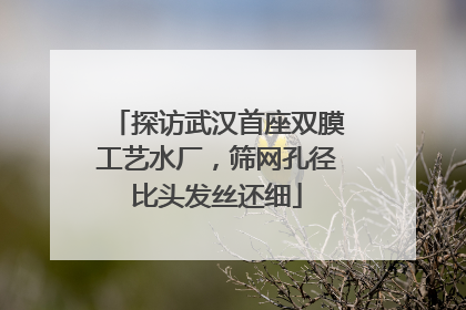 探访武汉首座双膜工艺水厂，筛网孔径比头发丝还细