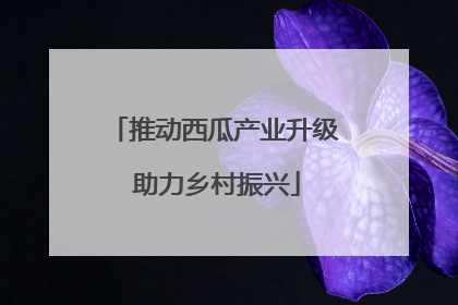 推动西瓜产业升级 助力乡村振兴