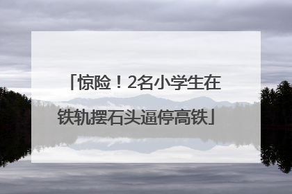 惊险！2名小学生在铁轨摆石头逼停高铁