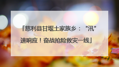 慈利县甘堰土家族乡：“汛”速响应！奋战抢险救灾一线
