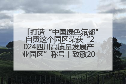 打造“中国绿色氟都” 自贡这个园区荣获“2024四川高质量发展产业园区”称号丨致敬2024经济影响力人物