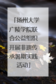 扬州大学广陵学院联合公益组织开展非遗传承暑期实践活动