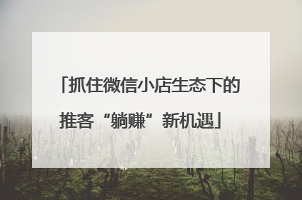 抓住微信小店生态下的推客“躺赚”新机遇
