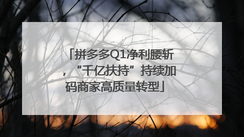 拼多多Q1净利腰斩，“千亿扶持”持续加码商家高质量转型