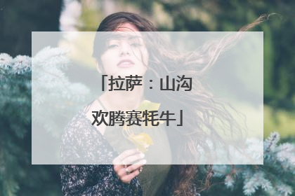 拉萨：山沟欢腾赛牦牛