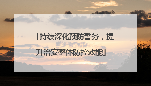 持续深化预防警务，提升治安整体防控效能