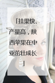 挂果快、产量高，陕西苹果在中亚茁壮成长