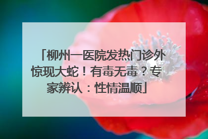 柳州一医院发热门诊外惊现大蛇！有毒无毒？专家辨认：性情温顺