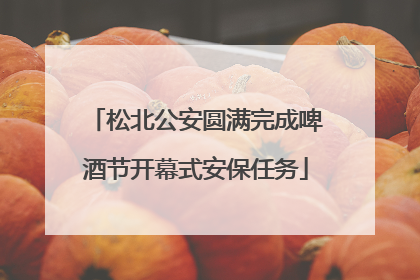 松北公安圆满完成啤酒节开幕式安保任务