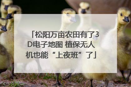 松阳万亩农田有了3D电子地图 植保无人机也能“上夜班”了