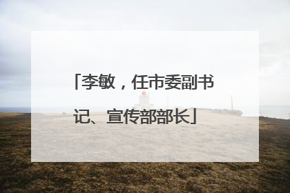 李敏，任市委副书记、宣传部部长