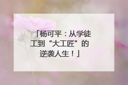 杨可平：从学徒工到“大工匠”的逆袭人生！