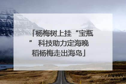 杨梅树上挂“宝瓶” 科技助力定海晚稻杨梅走出海岛