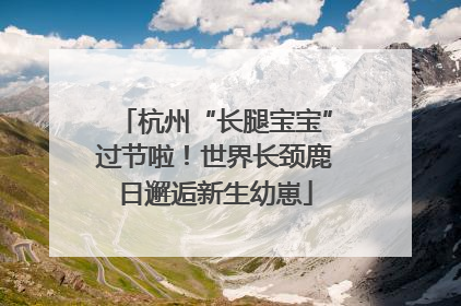 杭州“长腿宝宝”过节啦！世界长颈鹿日邂逅新生幼崽