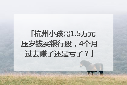 杭州小孩哥1.5万元压岁钱买银行股，4个月过去赚了还是亏了？