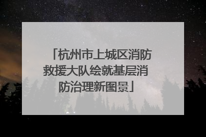 杭州市上城区消防救援大队绘就基层消防治理新图景
