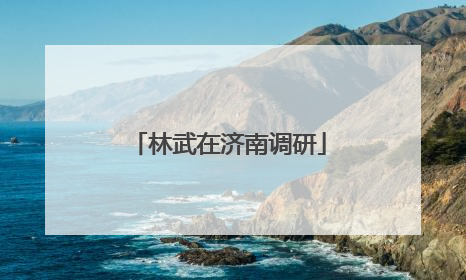 林武在济南调研
