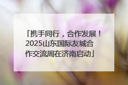 携手同行，合作发展！2025山东国际友城合作交流周在济南启动
