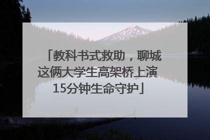 教科书式救助，聊城这俩大学生高架桥上演15分钟生命守护