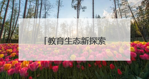 教育生态新探索 中关村三小跨龄教育实践引热议