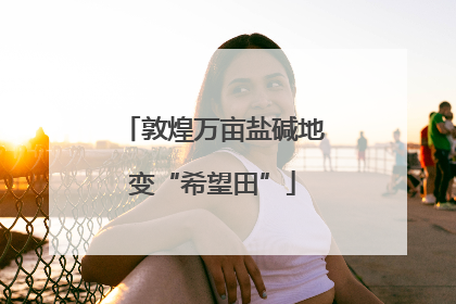 敦煌万亩盐碱地变“希望田”
