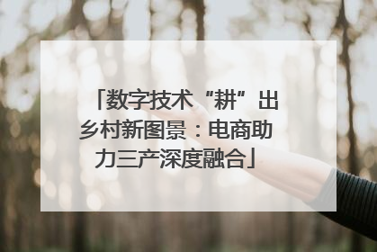 数字技术“耕”出乡村新图景：电商助力三产深度融合