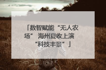数智赋能“无人农场” 海州夏收上演“科技丰景”