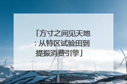 方寸之间见天地：从特区试验田到提振消费引擎