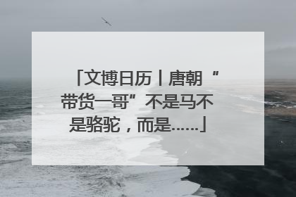 文博日历丨唐朝“带货一哥”不是马不是骆驼，而是……