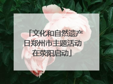 文化和自然遗产日郑州市主题活动在荥阳启动