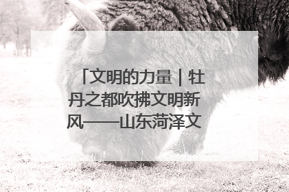 文明的力量｜牡丹之都吹拂文明新风——山东菏泽文明创建一线见闻