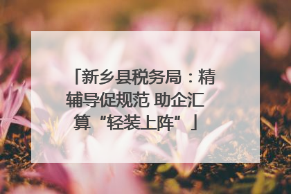 新乡县税务局：精辅导促规范 助企汇算“轻装上阵”