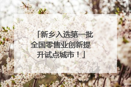 新乡入选第一批全国零售业创新提升试点城市！