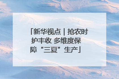 新华视点｜抢农时 护丰收 多维度保障“三夏”生产