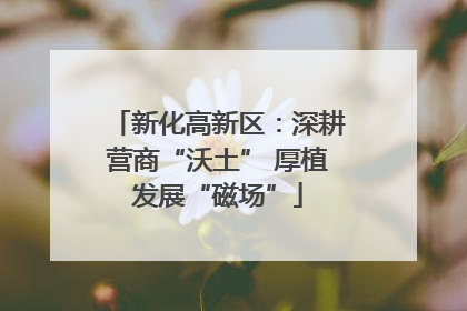 新化高新区：深耕营商“沃土” 厚植发展“磁场”
