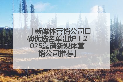 新媒体营销公司口碑优选名单出炉！2025靠谱新媒体营销公司推荐