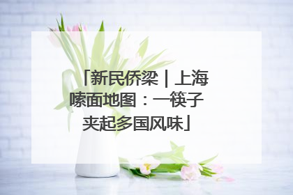 新民侨梁｜上海嗦面地图：一筷子夹起多国风味