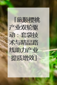 旅顺樱桃产业双轮驱动：套袋技术与精品路线助力产业提质增效