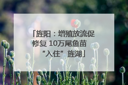 旌阳：增殖放流促修复 10万尾鱼苗“入住”旌湖