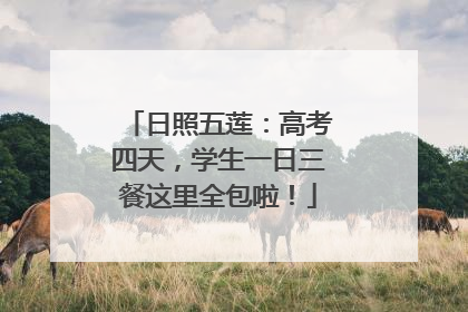日照五莲：高考四天，学生一日三餐这里全包啦！