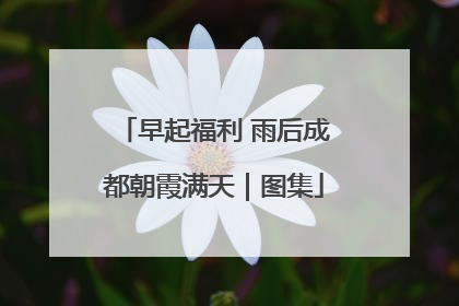 早起福利 雨后成都朝霞满天｜图集