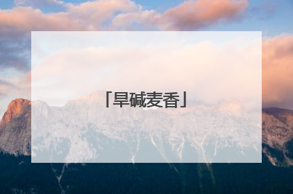 旱碱麦香