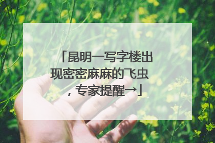 昆明一写字楼出现密密麻麻的飞虫，专家提醒→
