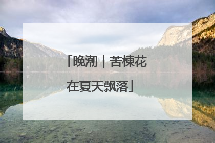 晚潮｜苦楝花在夏天飘落