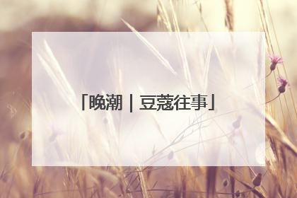 晚潮｜豆蔻往事