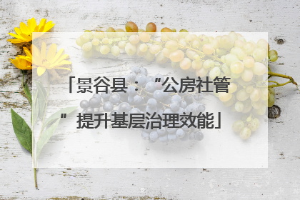 景谷县：“公房社管”提升基层治理效能