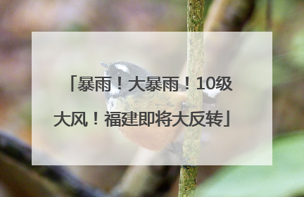 暴雨！大暴雨！10级大风！福建即将大反转