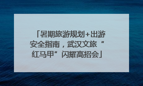 暑期旅游规划+出游安全指南，武汉文旅“红马甲”闪耀高招会
