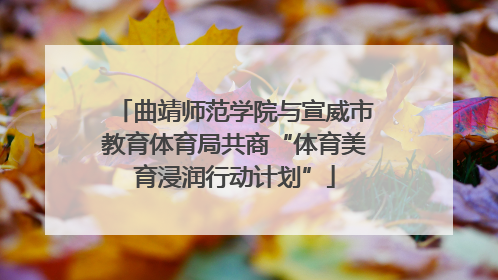 曲靖师范学院与宣威市教育体育局共商“体育美育浸润行动计划”